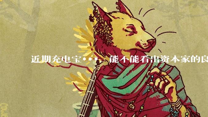 近期充电宝***，能不能看出资本家的良心坏了？