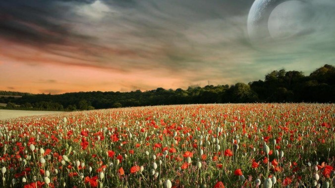 以前大力推广的沼气池，怎么现在越来越少了？